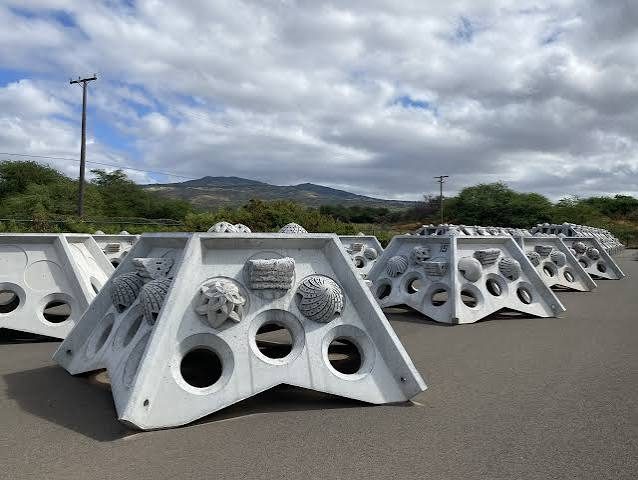 Hybrid reef units in the staging yard